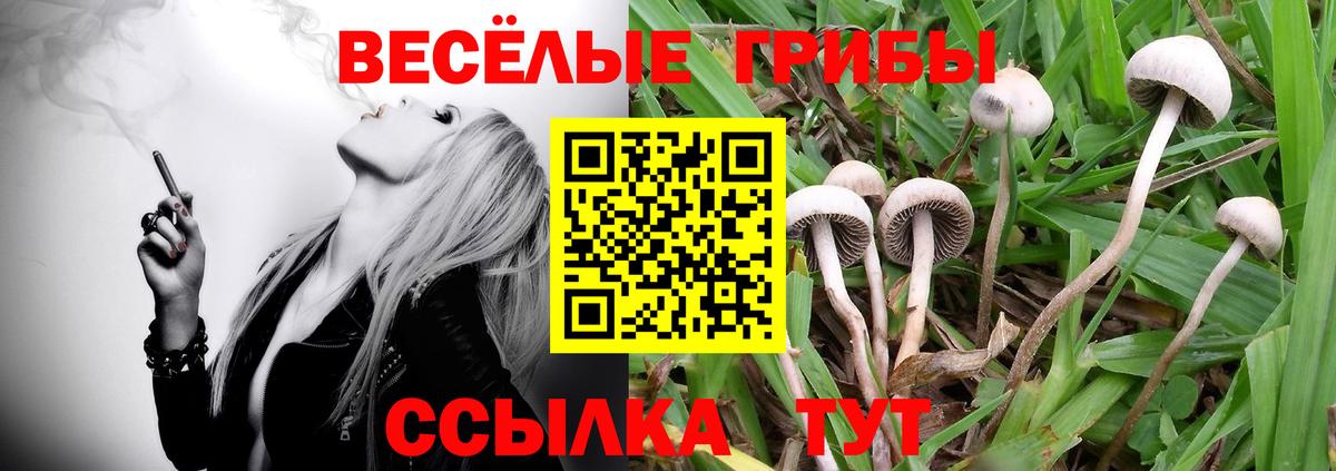 Галлюциногенные грибы мицелий  Вход с VPN  Галлюциногенные грибы Magic Shrooms  Карталы 