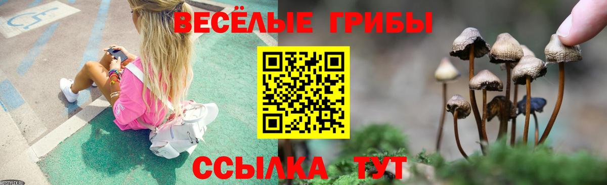 Псилоцибиновые грибы прущие грибы Карталы
